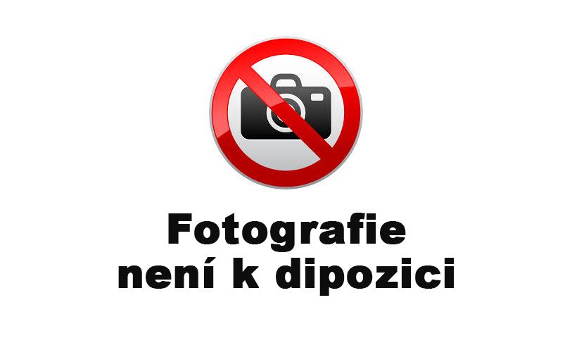 Vedení ZO OSPLD BRNO